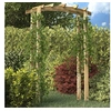 Image de Arche de Jardin en Bois de Pin Massif 150x60x210 cm, Résistante à la Pourriture, Support pour Plantes Grimpantes, 41662