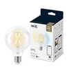 Image de WiZ Globe transparent à filament 60W G95 E27