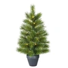 Image de Sapin de Noël artificiel illuminé Black Box Trees Glendon Vert Plastique H90xl51xL51cm