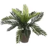 Image de Plante artificielle Mica Decorations Cycas Vert Plastique H33xl34xL34cm