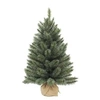 Image de Sapin de Noël artificiel Triumph Tree Forest frosted Vert Plastique H90xl61xL61cm