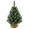 Image de Sapin de Noël artificiel Triumph Tree Pittsburgh Vert Plastique H90xl56xL56cm