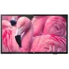 Image de Philips 43HFL4014 - Classe de diagonale 43" Professional PrimeSuite TV LCD rétro-éclairée par LED - hôtel / hospitalité - Smart TV 1920 x 1080 - LED