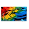 Image de 43HFL6214U - Classe de diagonale 43" Professional MediaSuite TV LCD rétro-éclairée par LED - soins de santé/hôtel - Smart TV - Android TV - 4K UHD