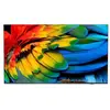 Image de TV 65HFL6214U 164 cm 4K UHD Gris anthracite