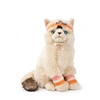 Image de BTC - Dolly le Ragdoll - 32 cm