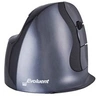 Image de Bakker Elkhuizen D Small - Souris verticale - pour droitiers - 6 boutons - sans fil