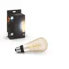 Image de ampoule White Ambiance 7W Edison Giant Filament E27x1