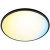Image de Philips Plafonnier Wiz 14w 1300 Lumen 242 Mm Led One Size