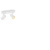Image de Plafonnier LED Dimmable RGB Smart WiFi+Bluetooth 4.9W Deux Spots WiZ Imageo Noir