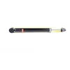 Image de Amortisseur Bsg 65-300-040 Bsg Bsg65300040 Chevrolet;Opel;Vauxhall