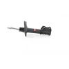 Image de Amortisseur Bsg -300-001 Bsg Bsg25300001 Citroen;Fiat;Peugeot