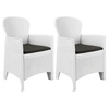Image de Lot de 2 chaise en rotin non pliable exterieur H. 89 cm blanc