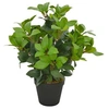 Image de Kunstplant met pot laurierboom 40 cm groen280177