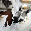 Image de Tapis en peau de vache véritable Noir et blanc 150 x 170 cm