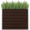 Image de Lit surélevé de jardin Marron 100x40x77 cm Acier galvanisé