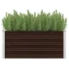 Image de Lit surélevé de jardin Marron 100x40x45 cm Acier galvanisé