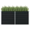 Image de Jardinière surélevée Anthracite 160x80x77 cm Acier galvanisé