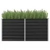 Image de Lit surélevé de jardin Anthracite 160x40x77 cm Acier galvanisé