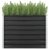 Image de Lit surélevé de jardin Anthracite 100x40x77 cm Acier galvanisé