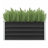 Image de Lit surélevé de jardin Anthracite 100x40x45 cm Acier galvanisé