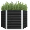 Image de Lit surélevé de jardin Anthracite 129x129x77 cm Acier galvanisé