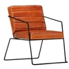Image de Fauteuil echt leer tan284411