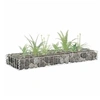 Image de Lit Surélevé à Gabion Jardinière à Gabion Jardin Parterre Surélevé de Fleurs Plantes Terrasse Extérieur Acier 145628
