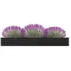 Image de Lit surélevé de jardin Acier galvanisé 320x40x45 cm Anthracite