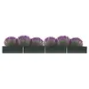 Image de Lit surélevé de jardin Acier galvanisé 600x80x45 cm Anthracite