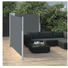 Image de Auvent latéral rétractable Anthracite 100 x 600 cm