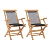 Image de Chaises pliables de jardin lot de 2 Bois teck solide et corde