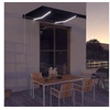 Image de Luifel handmatig uittrekbaar met LED 300x250 cm antraciet3051243