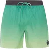 Image de Protest - Prterin - Boardshort homme Frosty Green - XS