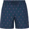 Image de Protest Short De Bain Alvis