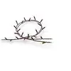Image de Guirlande Lumineuse Festavia 500 LEDs