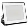 Image de Philips Application Extérieure Lois Regulable 30w 3000k