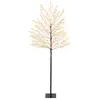 Image de Lumineo Sapin De Noël 480 Led 1.5 M One Size