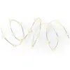 Image de Lumineo Guirlande Lumineuse 100 Led 1 M