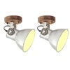 Image de Wand-/plafondlampen industrieel 2 st E27 20x25 cm zilverkleurig320504