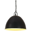 Image de Hanglamp industrieel vintage rond 25 W E27 31 cm zwart320548