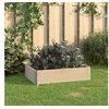 Image de Jardinière surélevée 60x80 cm Bois de pin solide