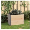 Image de 3 st Plantenbakken verhoogd 60x80 cm massief grenenhout3055161
