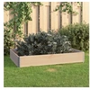 Image de Jardinière surélevée 80x120 cm Bois de pin solide