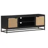 Image de Meuble TV 120x30x40 cm Bois massif de manguier