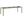 Image de Table de jardin avec dessus en verre beige résine tressée