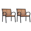 Image de 2x Chaises de Jardin Chaises de Terrasse Fauteuils de Patio Sièges de Terrasse Fauteuils d'Extérieur Sièges de Jardin Acier et WPC