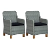 Image de Chaises de jardin avec coussins lot de 2 Résine tressée