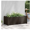 Image de Lit surélevé de jardin PP Moka 100x43x35 cm