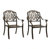Image de Tuinstoelen 2 st gietaluminium bronskleurig315567